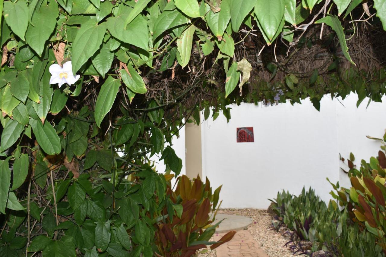 Kendwa Beach Resort Exterior photo