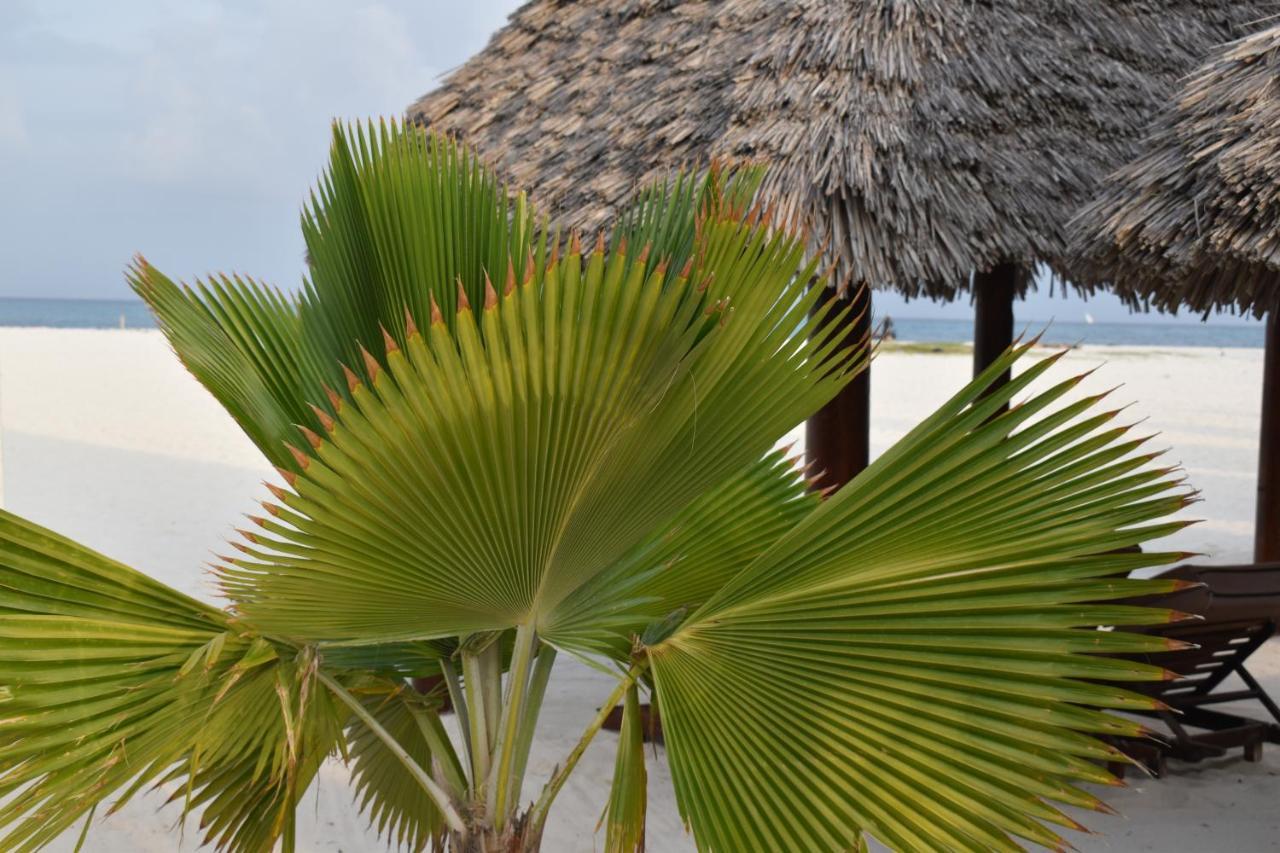 Kendwa Beach Resort Exterior photo