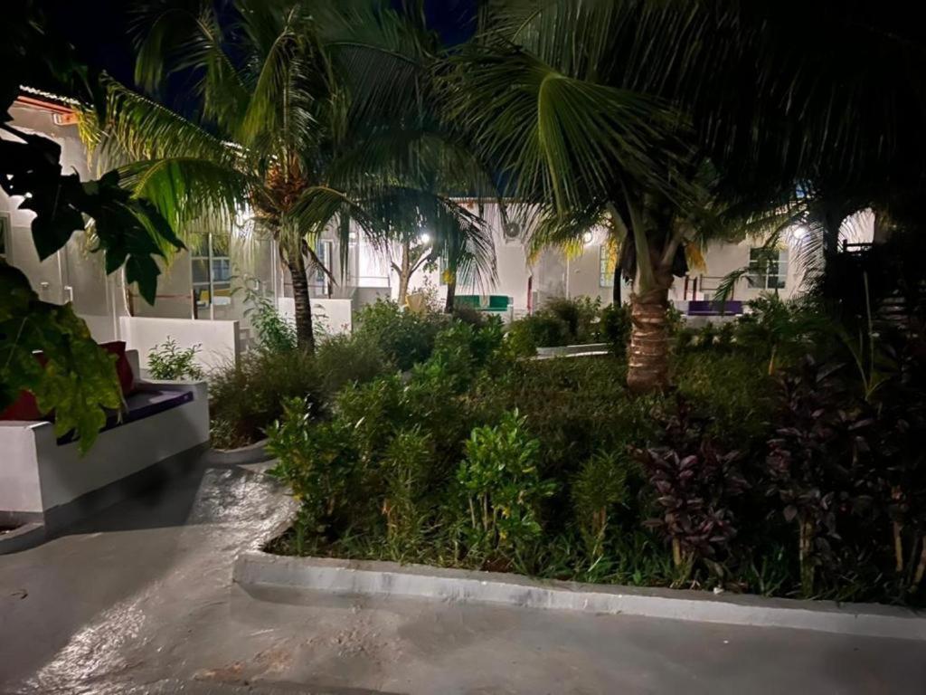 Kendwa Beach Resort Exterior photo